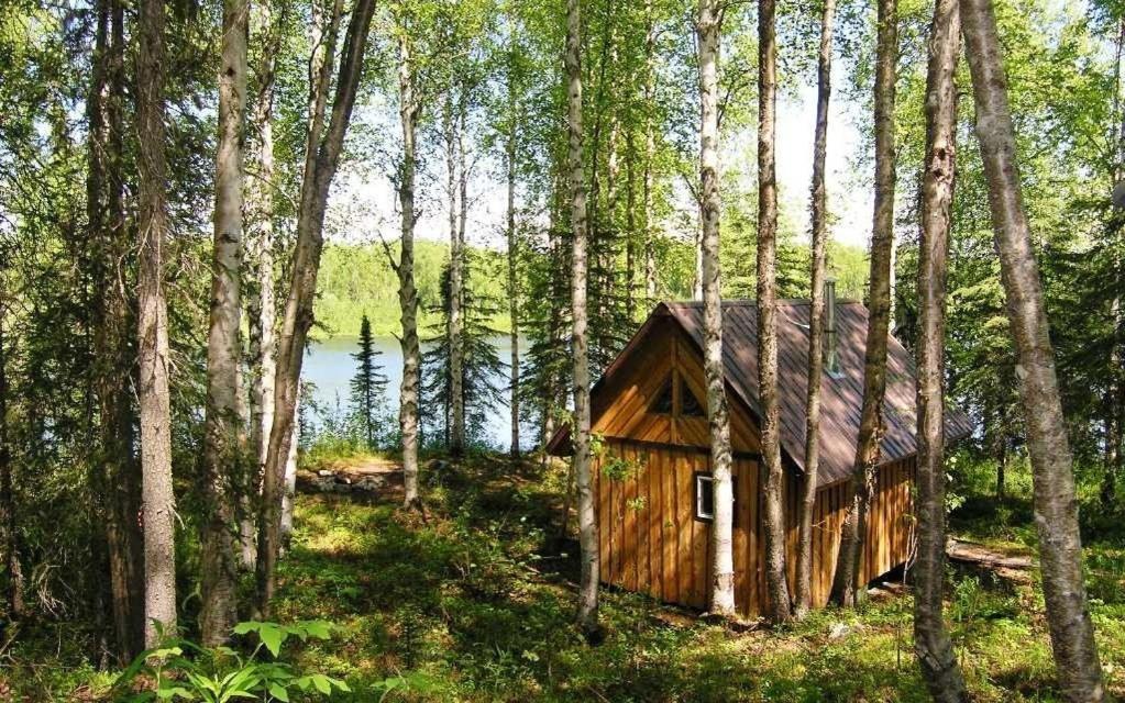 Talkeetna Lakeside Cabins Denali Exterior foto